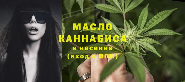 ешки Новозыбков