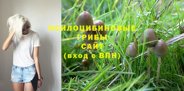 ешки Новозыбков