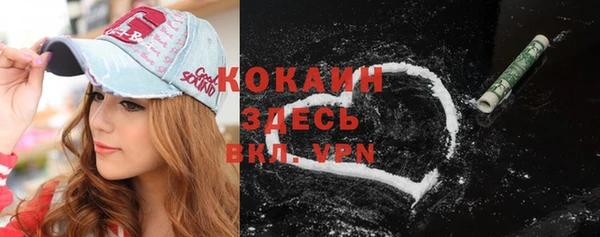 ешки Новозыбков